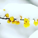 지혜로움 이미지