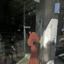 디오티티 이미지