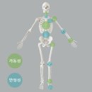 센텀사우나 이미지