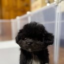 무지개다리 이미지