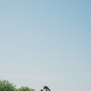 송일약국 | 4.1.6 사계절 스냅 - 델라모레📷 최종 정리본(스압주의‼)