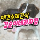 갑순이네 | 세종 애견수제간식 갑순이네과자점 솔직후기