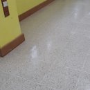 성남서초등학교 이미지