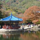 내장산 관광안내소 이미지