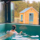 치즈바다 이미지