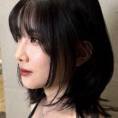 더모던화이불치
