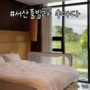 수아다 | [서산펜션] 15개월 아기와 방문한 자쿠지가 있는 서산풀빌라 수아다 101호 후기