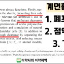 솔정 이미지