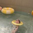 호화로이 이미지