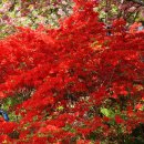 완산-24 이미지