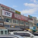 충효태권도 전문도장 이미지