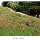 들꽃팜