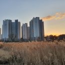 육사공인중개사사무소 이미지