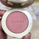 브라이트코리아 | 구찌 블러시 드 보떼 04 브라이트 코랄 &amp; 루즈 드 보떼 브리앙 208 데이 멧 인 아르헨티나 후기