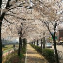 증산로 이미지