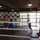 열린체육관본관 이미지