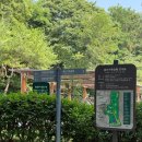 황토갯벌용산마을 | 돌 아기랑 유모차 끌고 용산가족공원, 6월 초여름 가족나들이 후기