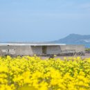 유민농장 이미지