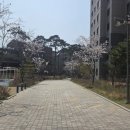 자이더파크부동산중개 이미지