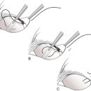 강앤정동물병원 이미지