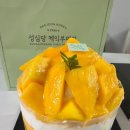 시루 | [대전] 성심당 4월 망고시루 후기(주차정보, 임산부 혜택 등)