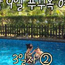 뉴월드분식