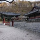 엘오비주