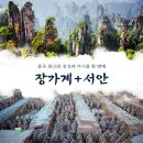 매일관광여행사 이미지