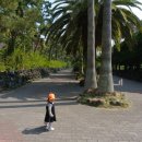 가든조류원 | 아이와 제주도 서쪽 가볼 만한 곳 한림공원