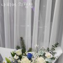 나피어 이미지