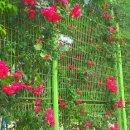 대민상사 이미지