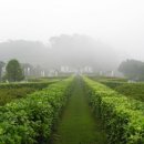 놀러갈개 이미지