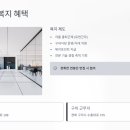 수출대로-5 | 매그나칩반도체 채용 2025 | FAB 엔지니어 신입/경력 정규직 모집 (면접 족보, 현직자 후기까지)