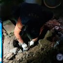 원산로 이미지