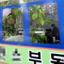 강남합동공인중개사사무소 이미지
