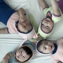 도고소풍스테이 이미지