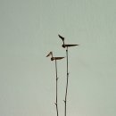 솟대 이미지