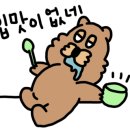 카카오 이미지