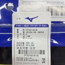 미즈노구로W몰점