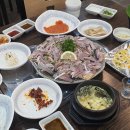 도시어부&미쓰물회 이미지