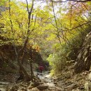 화암사 가는길 이미지