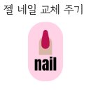 네일그림 이미지