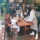 꽃데이플라워