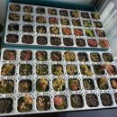 겜마 이미지