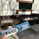고양이카페 포항 가배원 대구근교 야외카페, 솔직후기