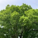 _나루터로2-7_ 이미지