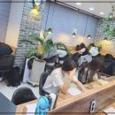 이한검과학전문학원 | 수원에서 만난 진짜 수학 전문 학원, 더수학과학학원 솔직 후기!