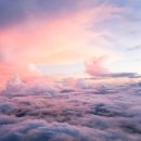 행복한개 이미지