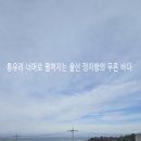 푸른바다유 이미지