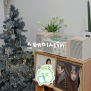 스테이시in 이미지